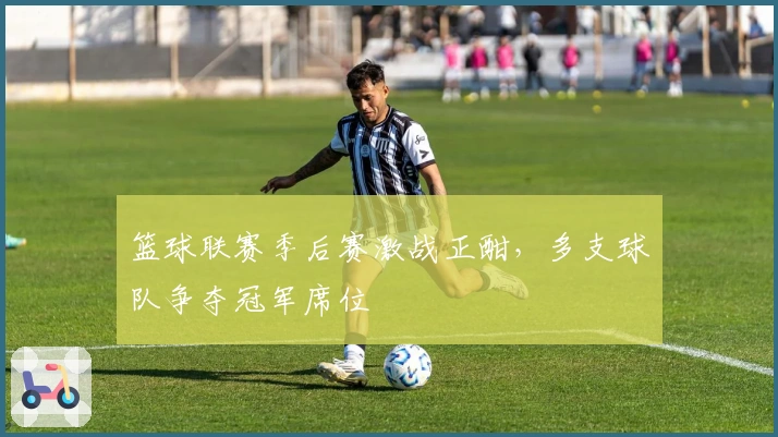 篮球联赛季后赛激战正酣,多支球队争夺冠军席位
